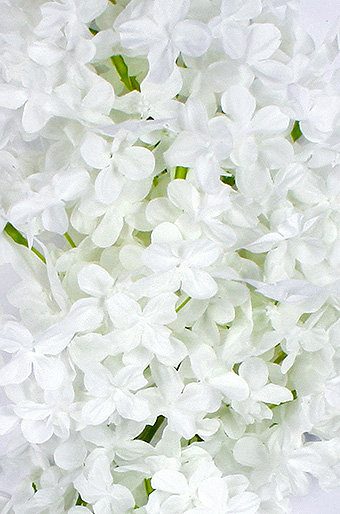 Цветок декор. 125/00 мини-цветы кустовые белые