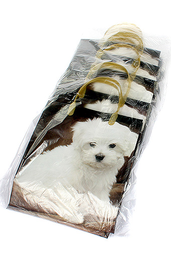 Сумка-пакет пласт. мягк. 12/110 белый щенок