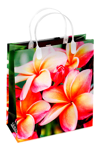 Сумка-пакет пласт. мягк. 12/139 тайские цветы