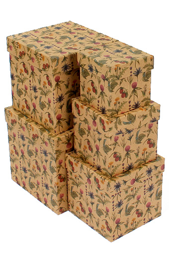 Коробка карт. крафт 051/2026 наб. из 5 кубов мал.- цветы и ягоды