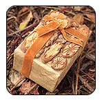 Коллекция сезона Осень-Зима 2009-2010 Shimmering Wood - Осенний Лес